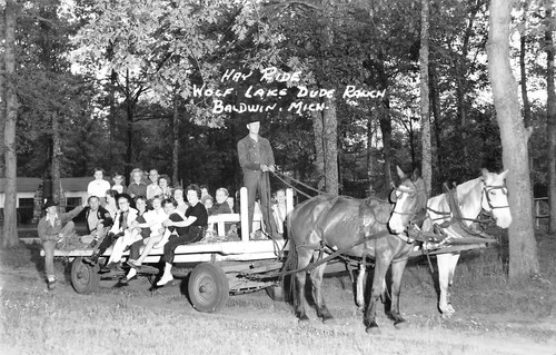 Baldwin michigan hay - michigan,