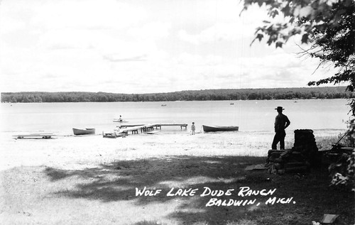 Baldwin michigan wolf lake - michigan,