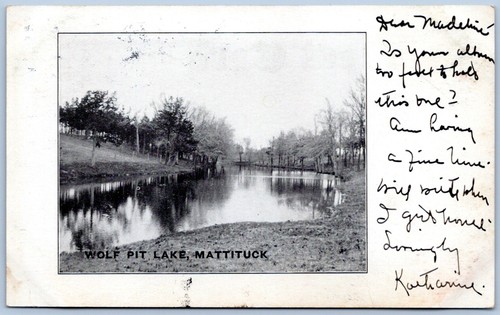 Cartolina mattituck wolf - li,