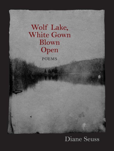 Wolf lake white - wolf, lake,