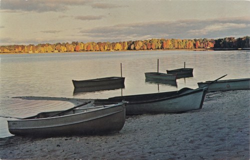 Cen muskegon wolf - cen, mi