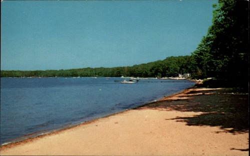 Sandy beach wolf - sandy,